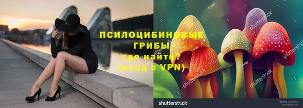 молекула духа Алексеевка