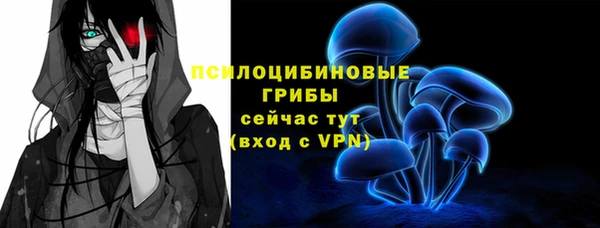 молекула духа Алексеевка