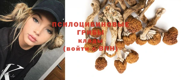 молекула духа Алексеевка
