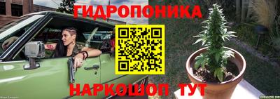 крисы Железногорск