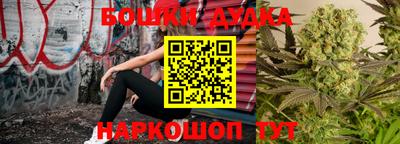 крисы Железногорск