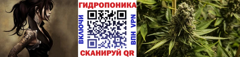 Марихуана план  Абакан 